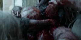 Daryl Dixon 1x02 RJ's Death