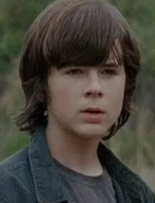 Carl Grimes