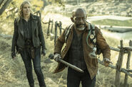 FTWD 7x16 Hammer and Axe