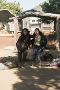 Normal FTWD 312 RF 0523 3492-RT-min