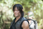 AMC 510 Daryl Wary