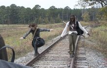 TWD Carl & Michonne