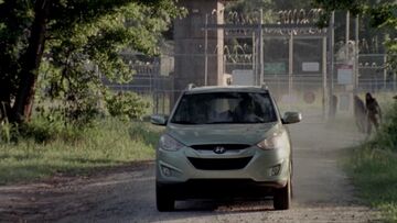 The walking cars discount