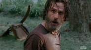 Rick Grimes (79)