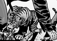 Shiva114.2.png (152 KB) Issue 114