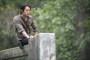 TWD 5x10 Glenn