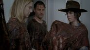 Twd0608-3101