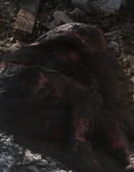 Season ten jen villager