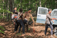 AMC 509 Group Carrying Tyreese