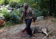 Walking-Dead-Zombie-Deer1