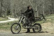 11x24 Biker Daryl