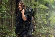 10x21 Daryl