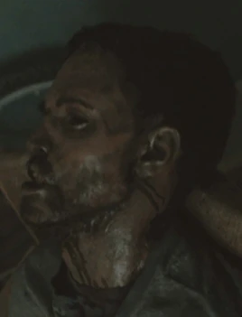 Season one joel armstrong