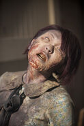 TWD 3x12 Bloody Walker