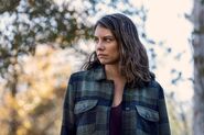 10x22 Maggie