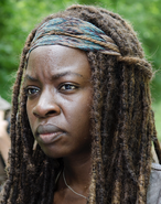 Season six michonne