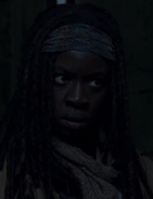 A Michonne Boxcar