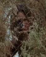 Extra14 (A).png (129 КБ)