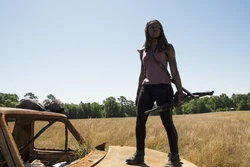 704 Michonne