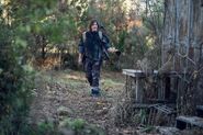 10x18 Daryl Exploring