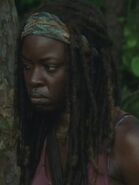 Michonne asjda