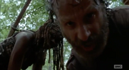 Rick Grimes (88)