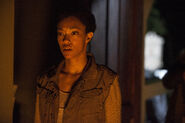 TWD 502 Sasha