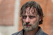 Rick 3 8x12