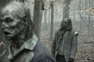 ToTWD 1x04 Walkers