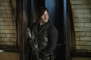 11x23 Daryl