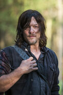 Daryl Dixon 2 7x15