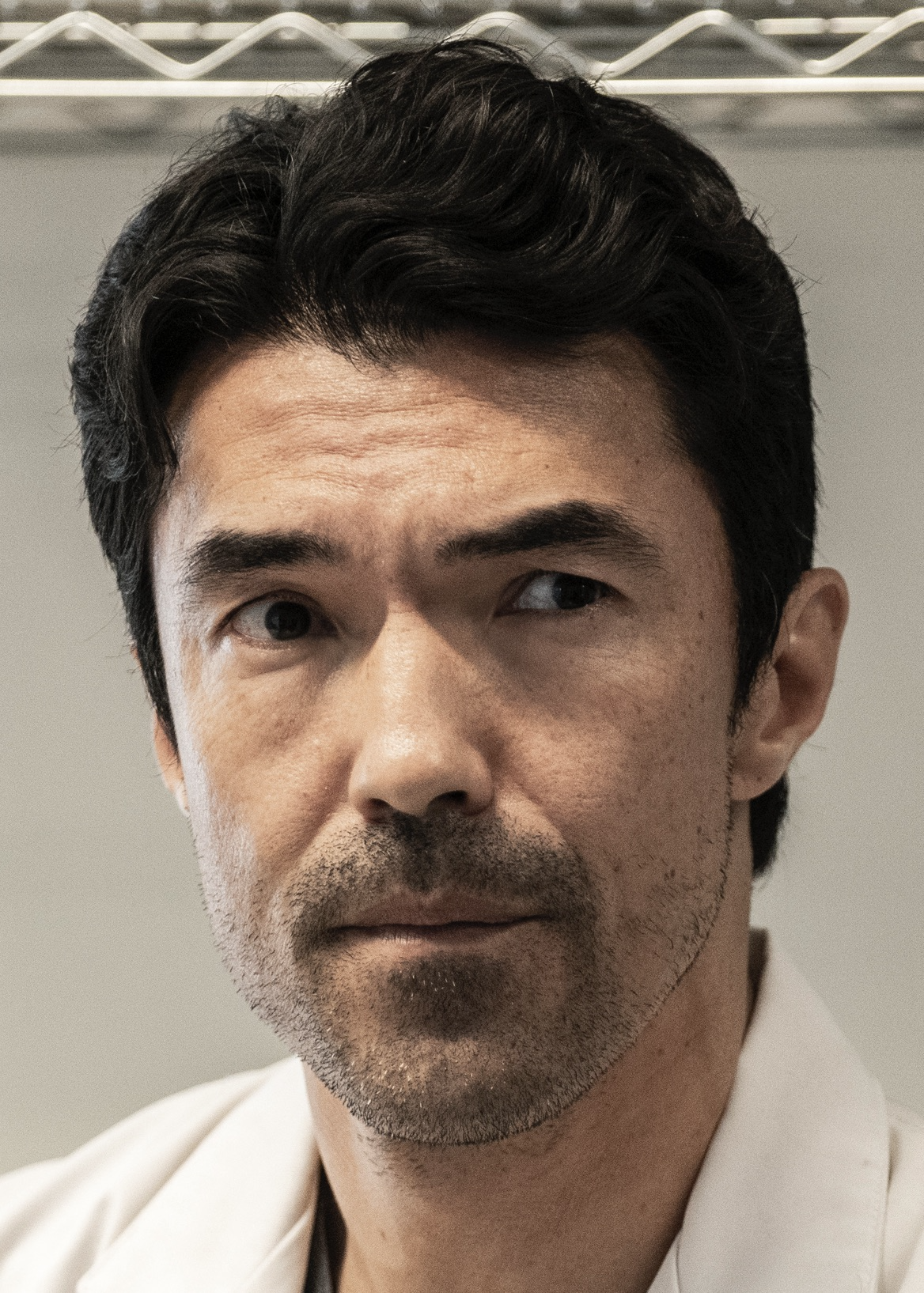 The Walking Dead': Ian Anthony Dale & Laurie Fortier Join Final Season –  Deadline