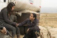 Normal FTWD 313 RF 0531 0712-RT-min