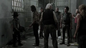 На поиски еды и медикаментов