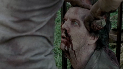 Een zombified David wordt in het hoofd gestoken door Glenn Rhee