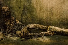 AMC 614 Decayed Walker.png (7,43 МБ)