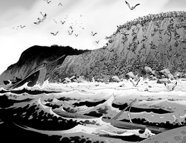 Issue 165 Coast