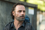 Rick Grimes 2 7x12