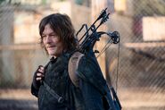 10x17 Daryl 3