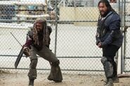 Normal TWD 804 GP 0612 0186-RT-min