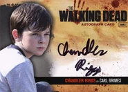Chandler Riggs