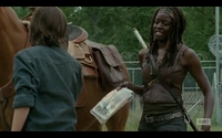 Michonne Gives Carl comics