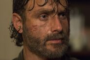 Normal TWD 802 JLD 0523 0258-RT-min