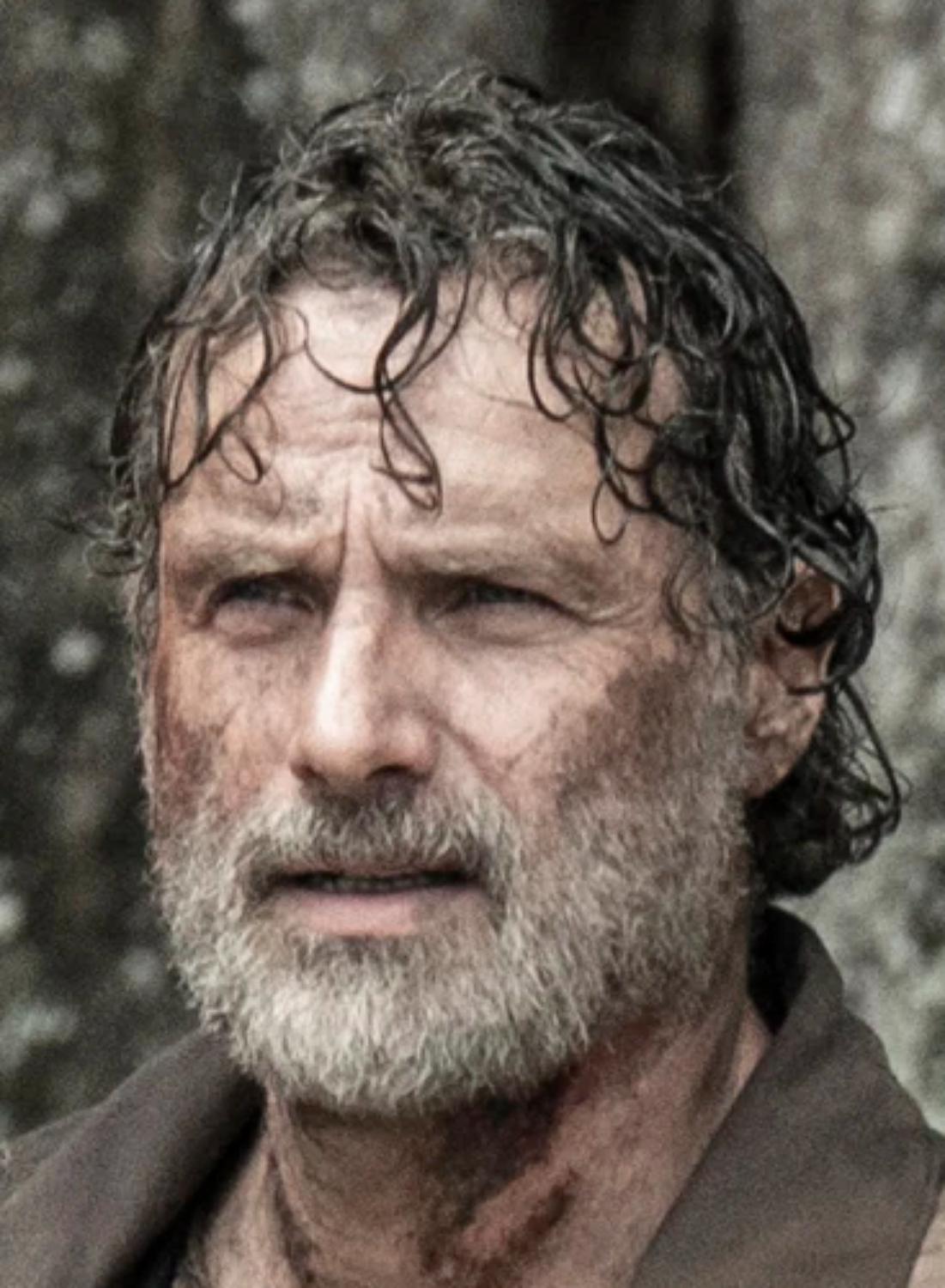 the walking dead rick grimes