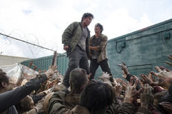 Normal TWD 603 GP 0604 0601