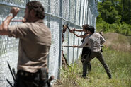 The-walking-dead-rick-glenn-maggie