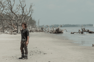 10x01 Daryl beach