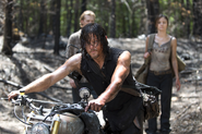 AMC 606 Daryl Suspicious