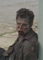 Baseball Bat Walker by Max Calder King County, Georgia This is the first walker killed by Rick Grimes using a melee weapon.