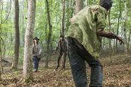 Normal TWD 806 JLD 0619 0648-RT-GN-min